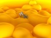 Post image 6