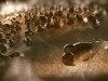 Post image 8