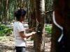 歐洲濕地高解析度地圖揭示被忽略的生態系統區塊