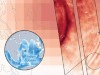 歐洲濕地高解析度地圖揭示被忽略的生態系統區塊