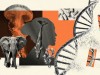 Asia’s longevity gains must be translated into better health