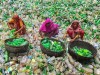 The global plastics treaty must account for conflict-driven energy insecurity