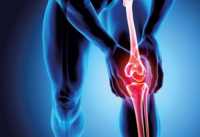 Opening up a pathway for disease modification in osteoarthritis