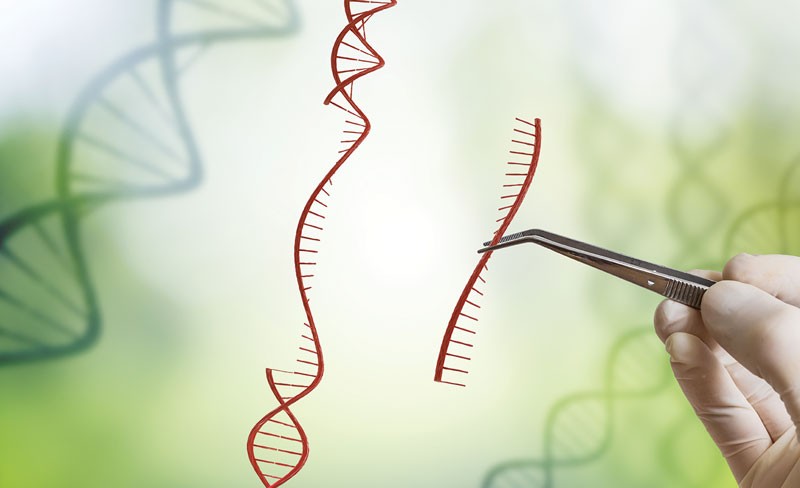 Delivering genome editing tools to primary cells