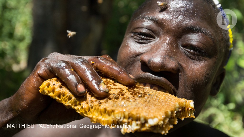 Huntergatherer gut microbiomes change with the seasons