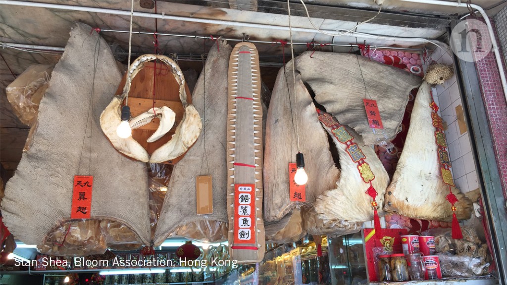 The seafood market that sells dozens of shark species