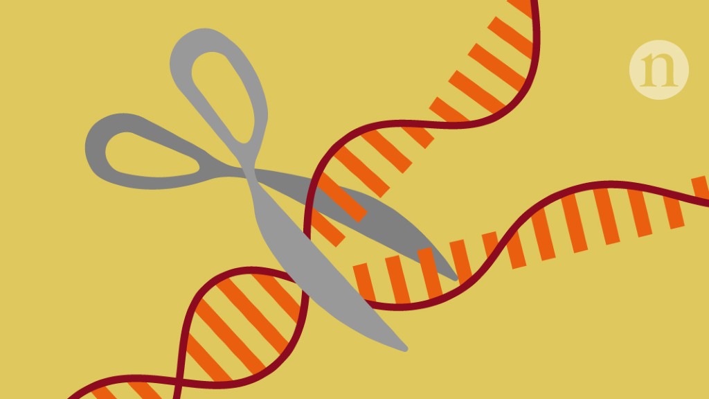 Pivotal CRISPR patent battle won by Broad Institute