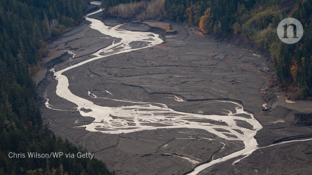 River Bounces Back After World’s Largest-ever Dam Removal