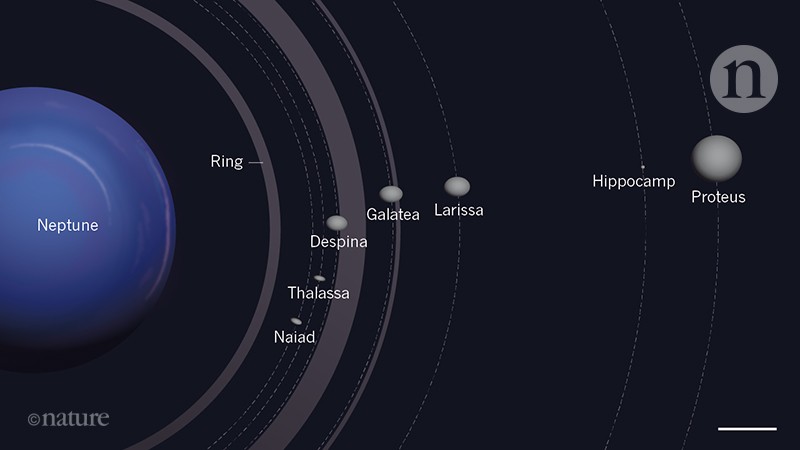 neptune and its 13 moons