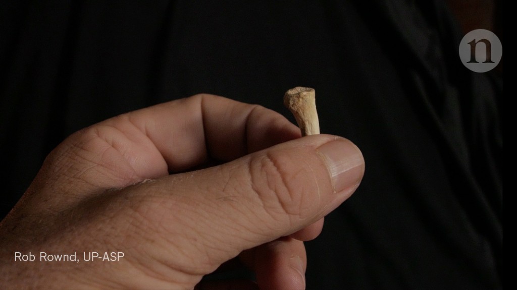 Unknown human relative discovered in Philippine cave