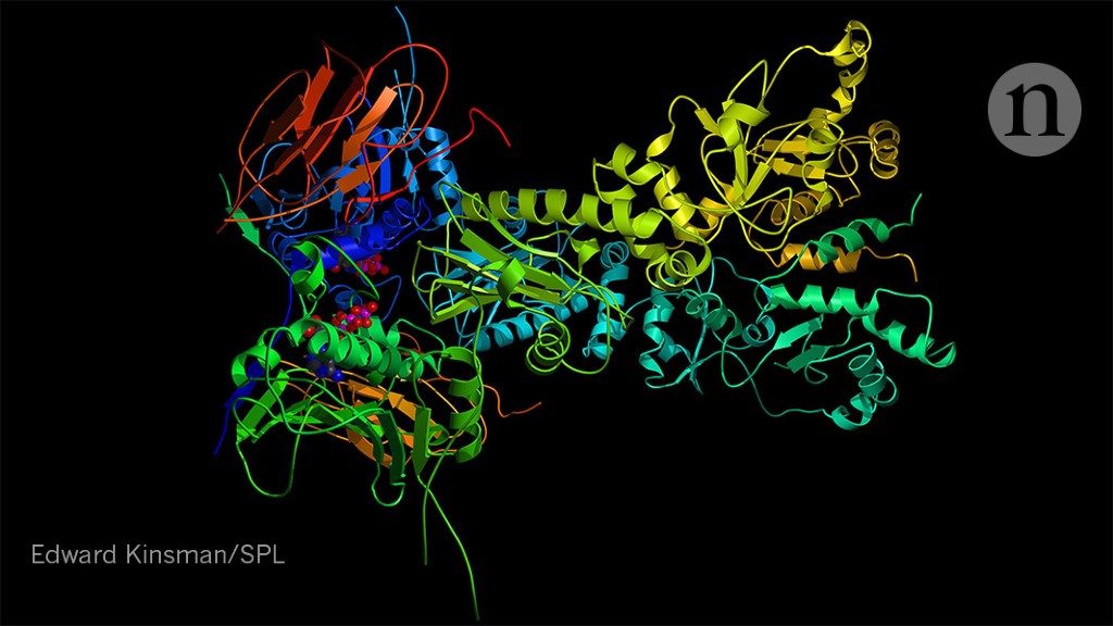 Ai Protein Folding Algorithms Solve Structures Faster Than Ever