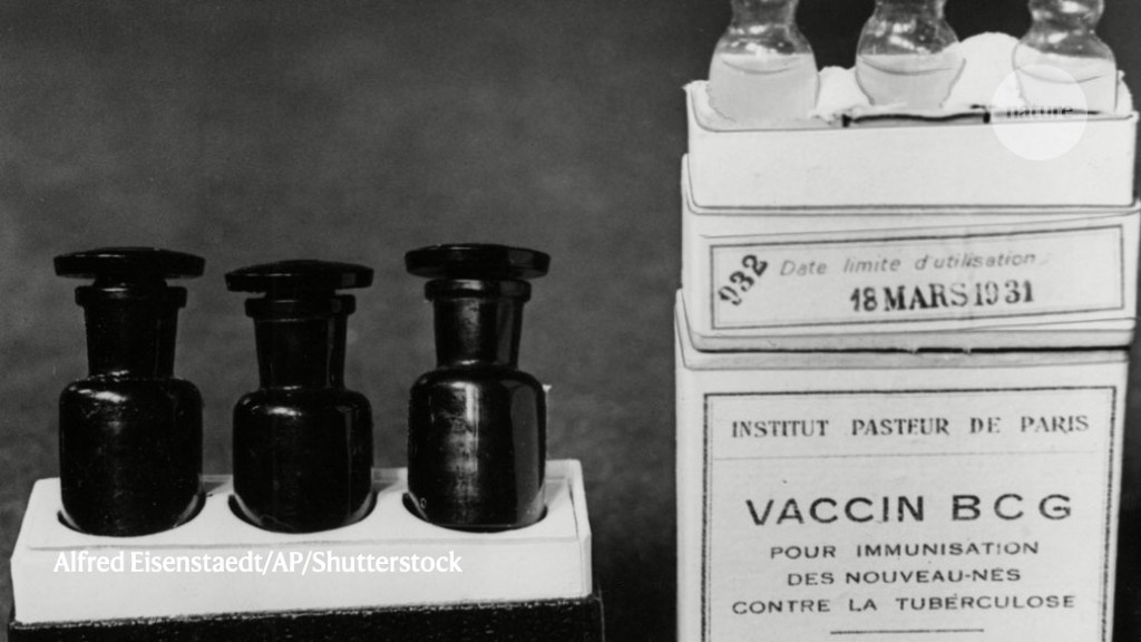 tuberculosis vaccine