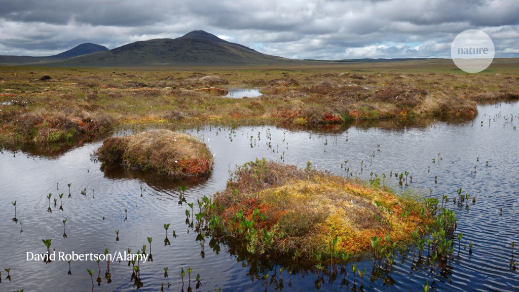 How peat the planet