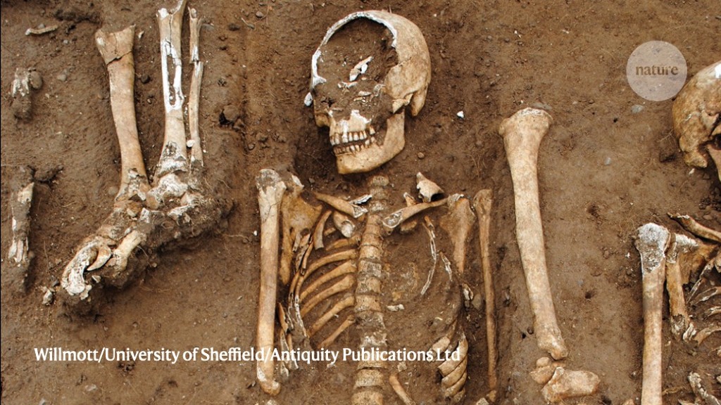 A medieval mass grave hints at the Black Death's ravages
