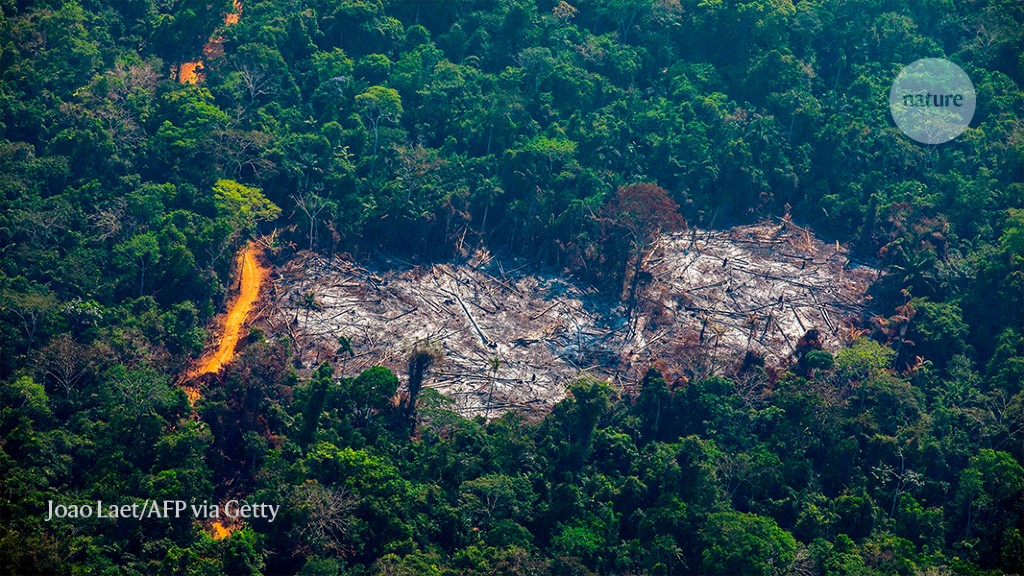 When will the Amazon hit a tipping point?