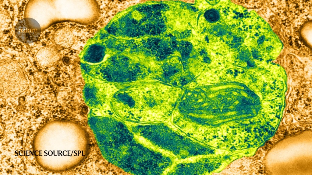 A DNA voltmeter exposes a cell’s electric inner life