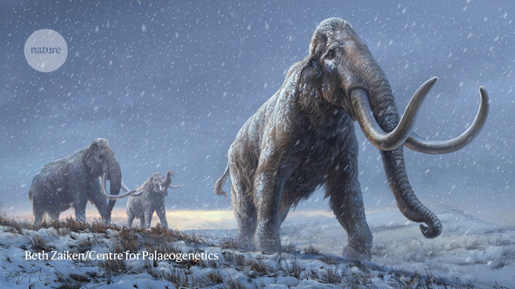 Million-year-old mammoth genome breaks record for oldest ancient DNA