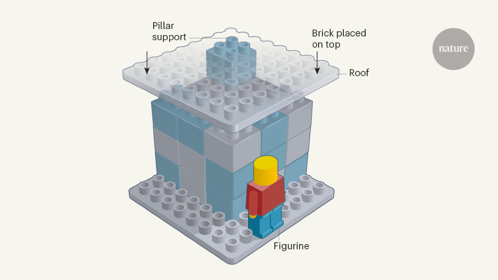 Adding is favoured over subtracting in problem solving - Nature.com