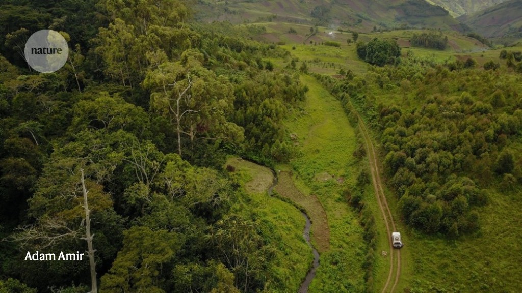 Discovering the forest wonders of Africa -- and the threats they face