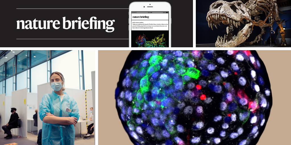 Daily briefing: 2.5 billion Tyrannosaurus rex roamed Earth