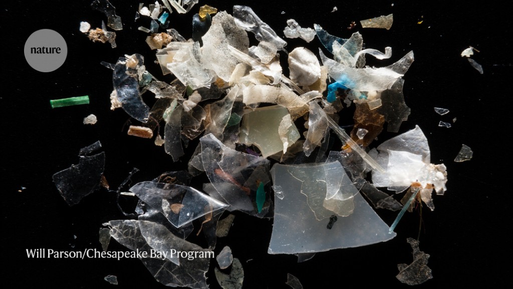 analysere mavepine pille Microplastics are everywhere — but are they harmful?