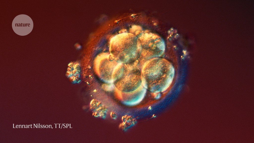 Limit on lab-grown human embryos dropped by stem-cell body