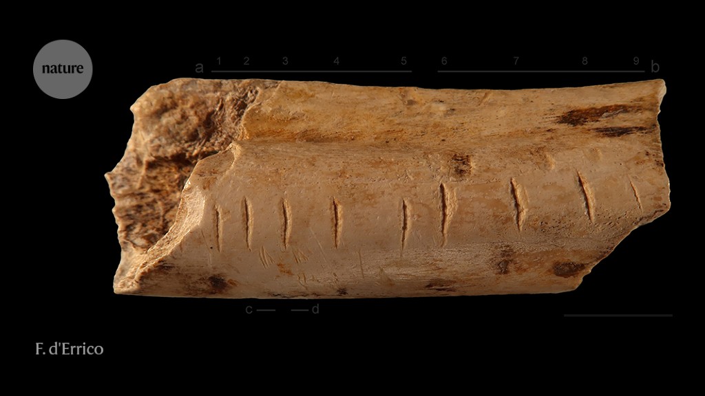 How did Neanderthals and other ancient humans learn to count?