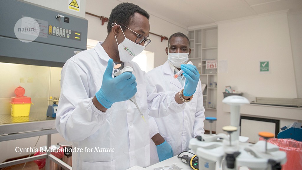 Fighting Food Insecurity With CRISPR At Zimbabwe’s First Private ...