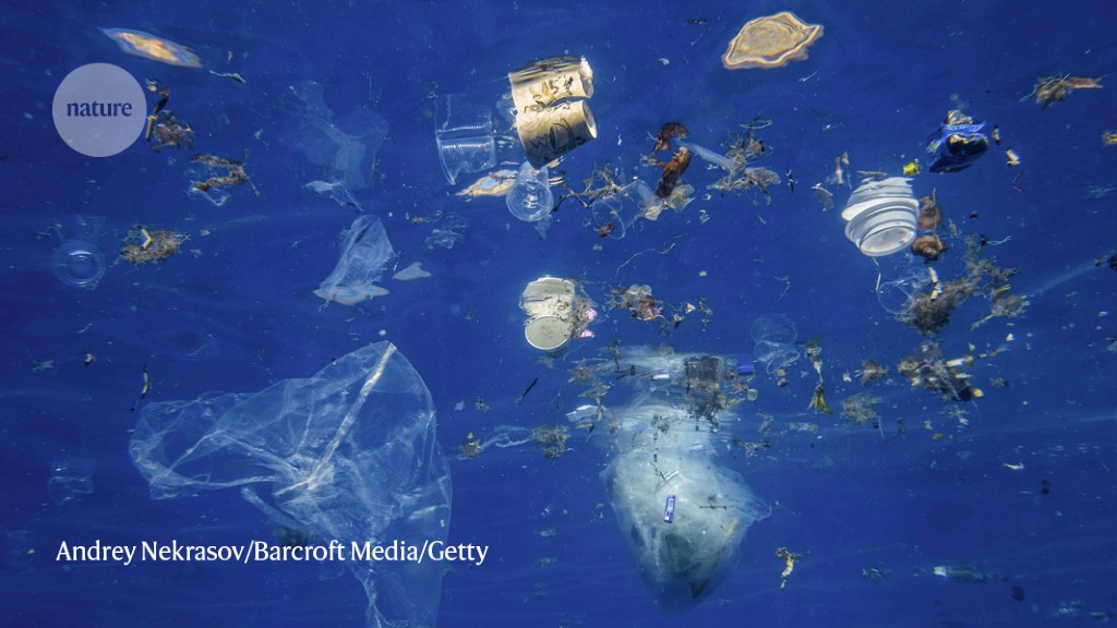 Humanity S Fast Food Habit Is Filling The Ocean With Plastic Research Highlights