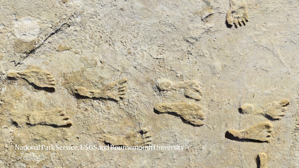 Ancient footprints could be oldest traces of humans in the Americas - Nature.com