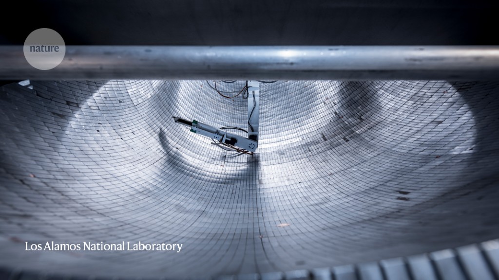 Physicists make most precise measurement ever of neutron's lifetime - Nature.com