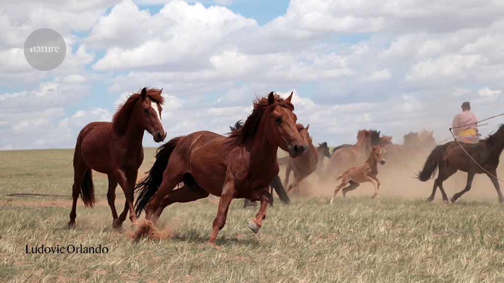 Domestic horses' mysterious origins may finally be revealed