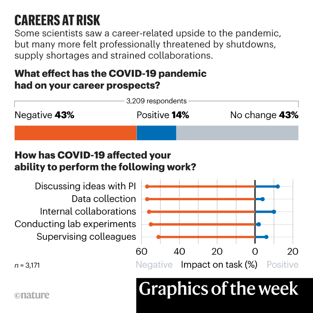 Dampak karier COVID dan rahasia embrio — minggu dalam infografis