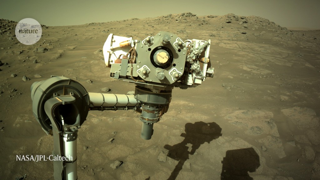 A year on Mars: How NASA’s Perseverance hit a geological jackpot