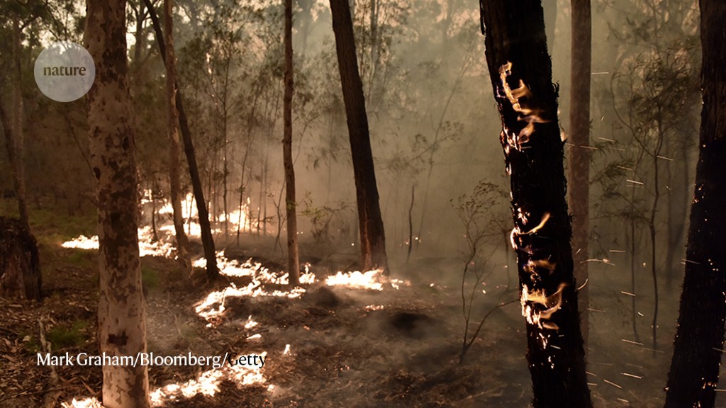 How colonialism fed the flames of Australia’s catastrophic wildfires