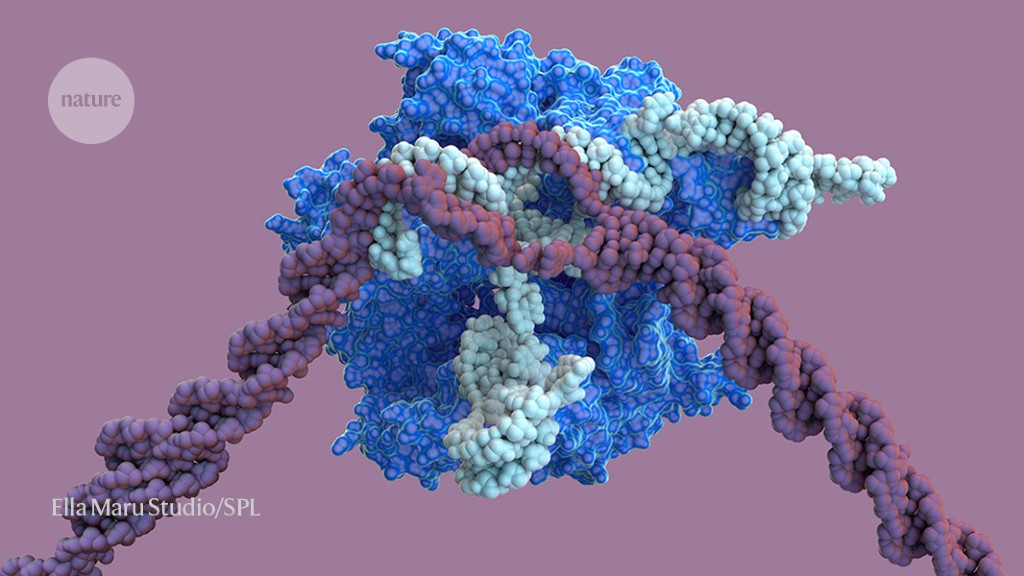 Major CRISPR patent decision won’t end tangled dispute