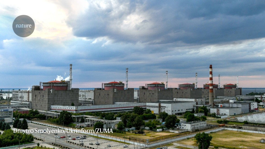 Ukraine nuclear power plant attack: scientists assess the risks