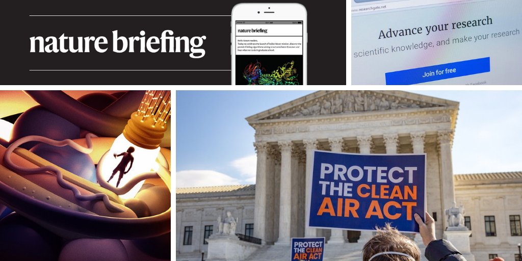 Daily briefing: ResearchGate dealt a blow in copyright lawsuit