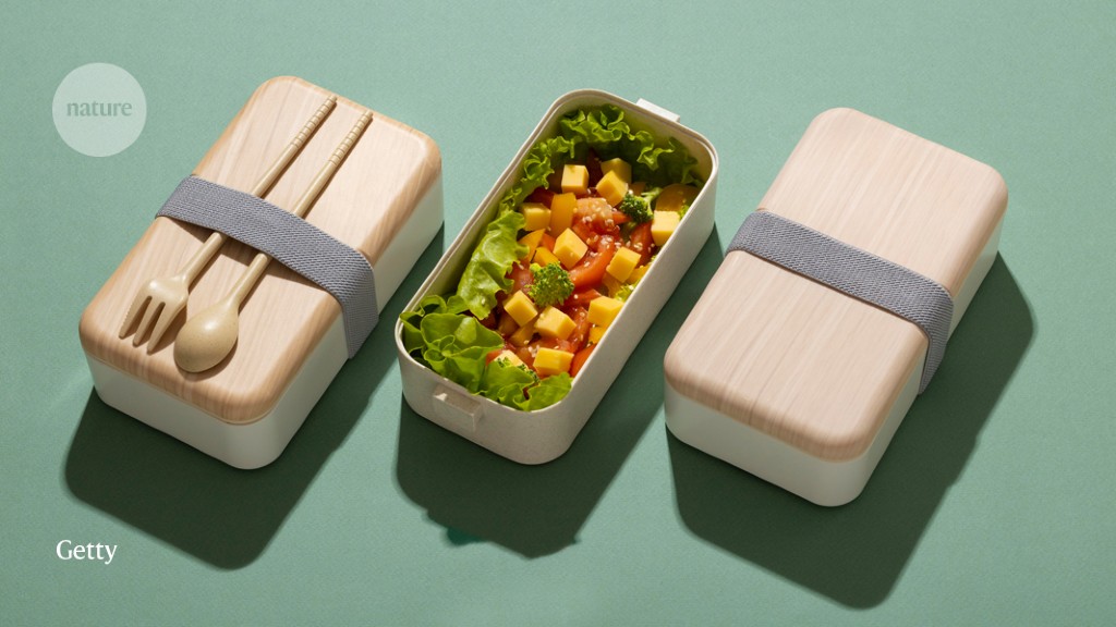 Healthy Bento Snack Boxes for On-The-Go! - Mind Over Munch 