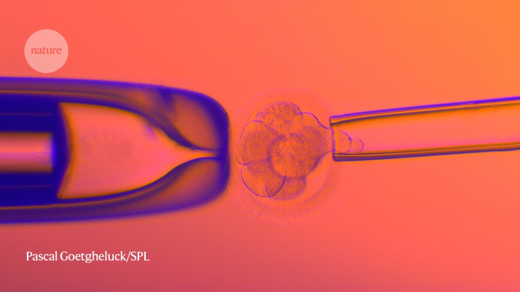 ヒト胚選択における複雑な遺伝子検査の驚くべき増加