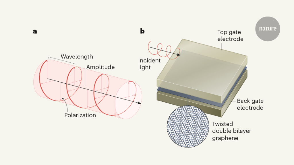 A detector that can learn the fingerprint of light