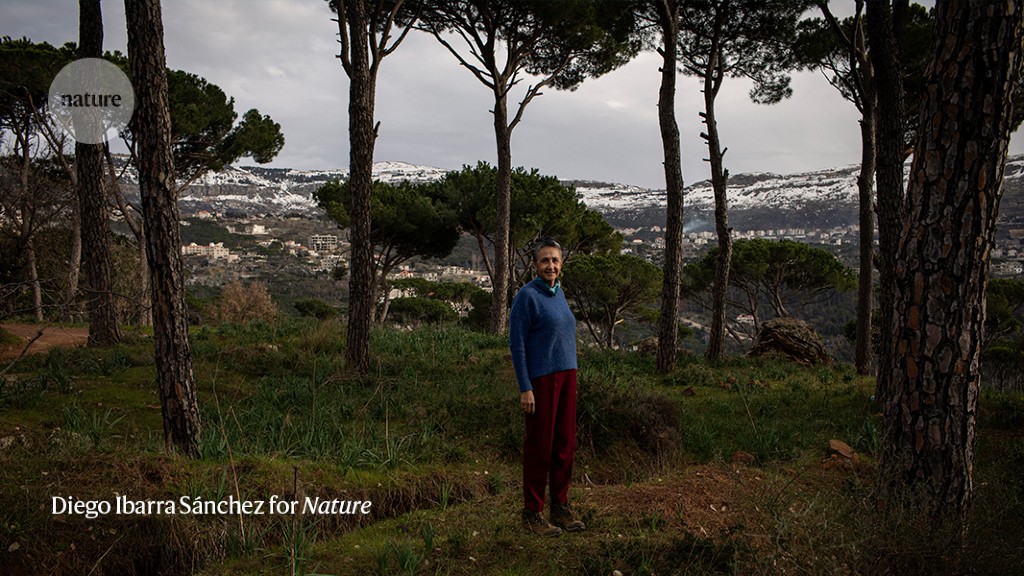 A grass-roots science movement to rebuild Lebanon