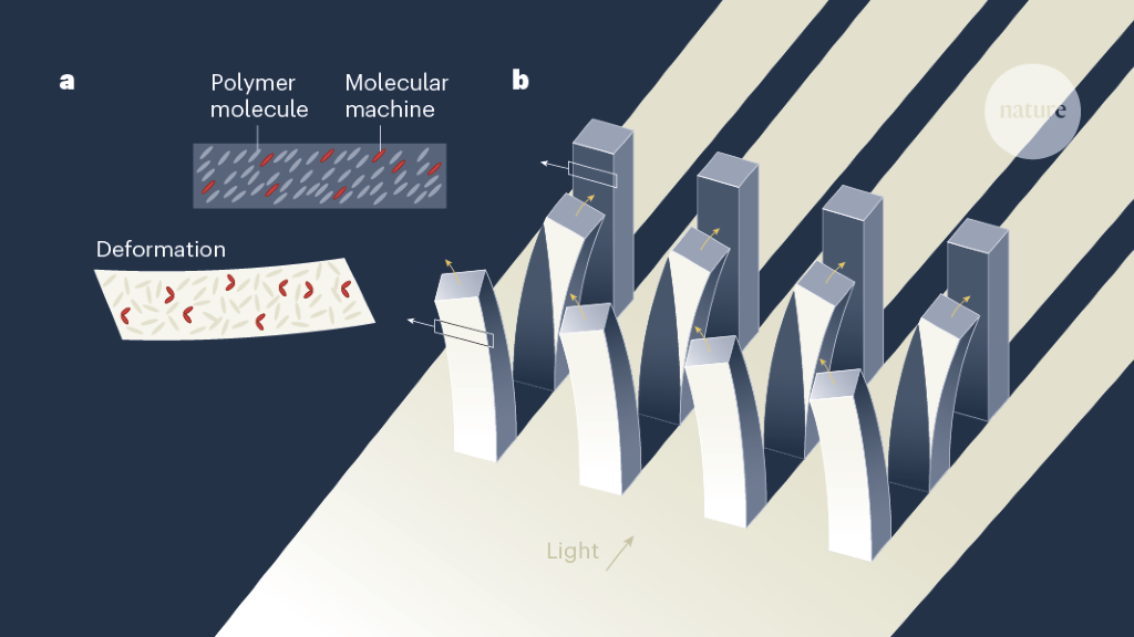 Light moves artificial cilia to a complex beat