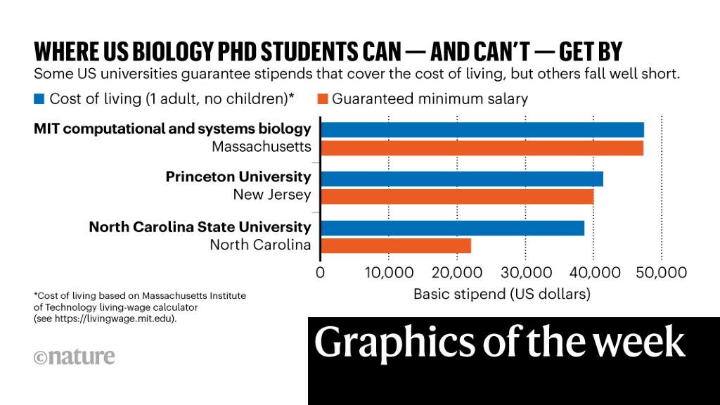 PhD pay, COVID’s health burden — the week in infographics