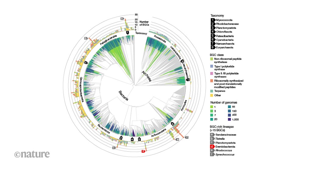 A wealth of new biosynthetic pathways from the global ocean microbiome