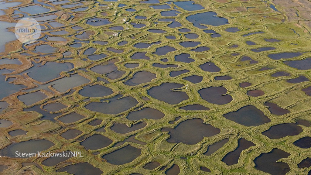 Ominous thaw: warm patches spread in a permafrost-rich land