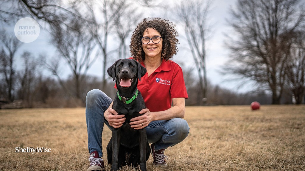 The dogs learning to sniff out disease