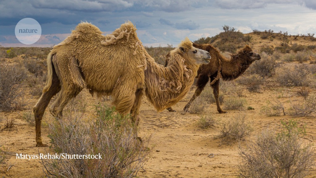 Climate change is turning more of Central Asia into desert - Nature.com