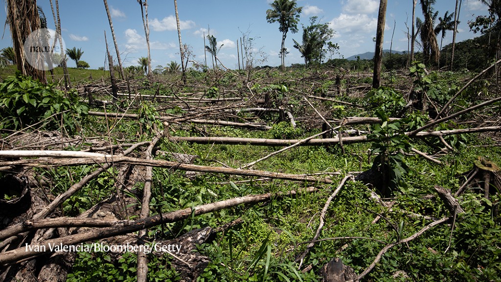 Major biodiversity summit will go ahead in Canada not China: what scientists think