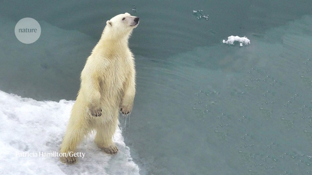 Celebratory science statue, polar bear survival and unappreciated research